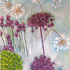 three alliums
